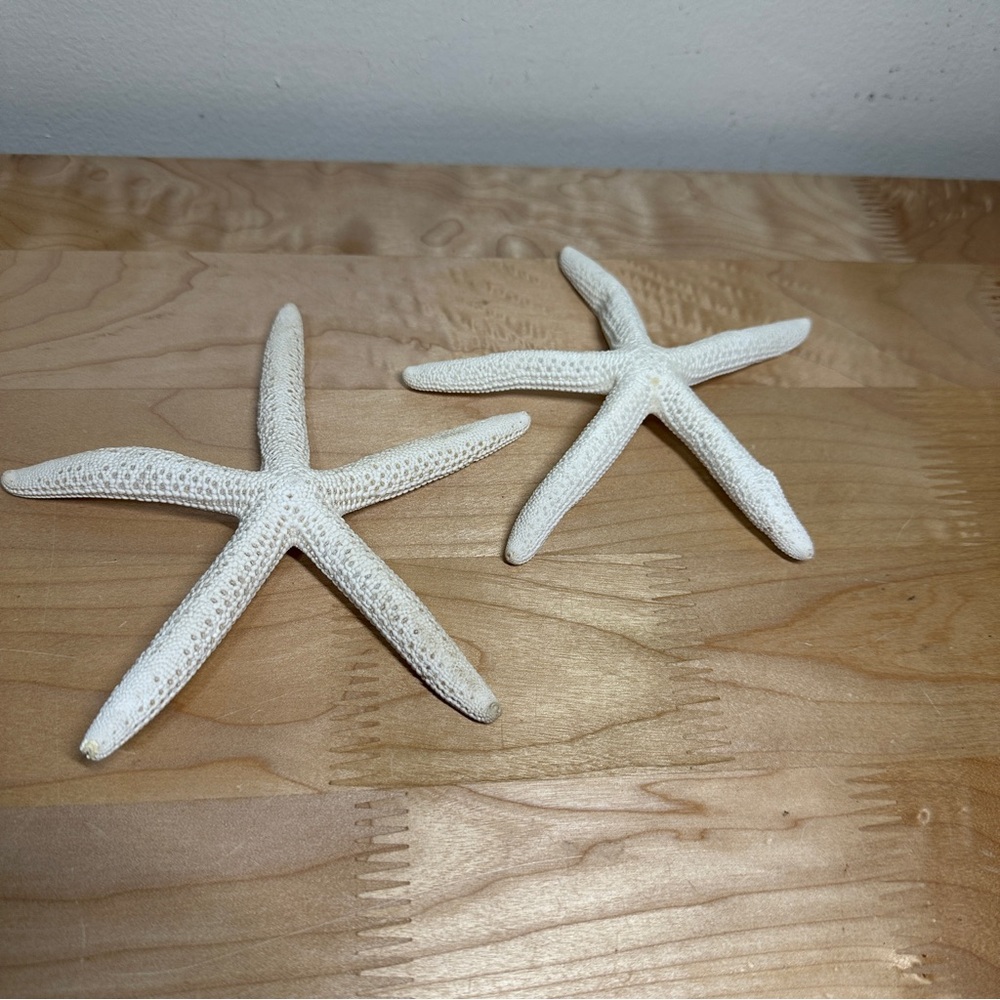 Set of 2 Natural White Starfish Coastal Beach Nautical Decor 6”